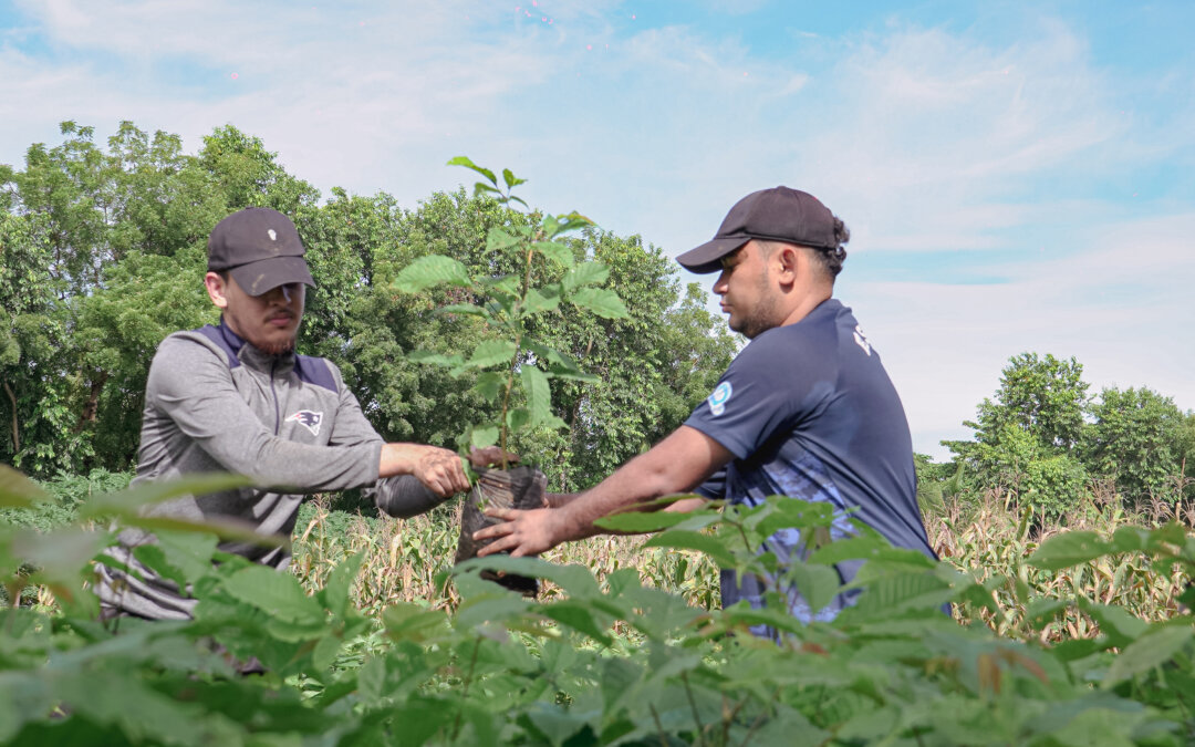 Jornada Ambiental de Embajadores Verdes: Compromiso Estudiantil con el Medio Ambiente